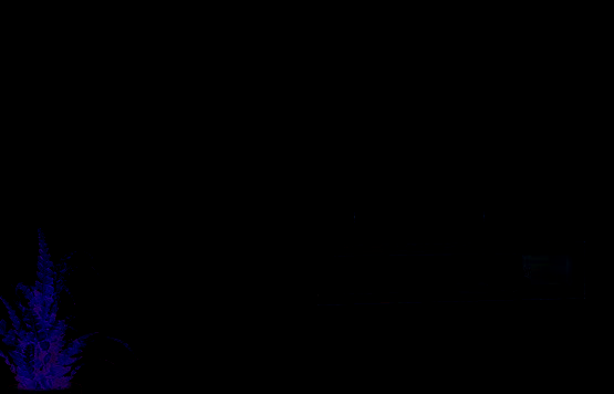 Scaldasalviette Lisa 2 Blower 1000 watt, verniciato bianco, con modulo di ventilazione blower, marca Cordivari, Puglia Termica