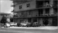1966 Tutto ha inizio da qui